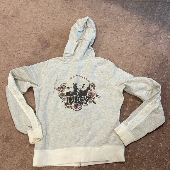 Juicy Couture Gray Hoodie Sweatshirt - Picture 1 of 4